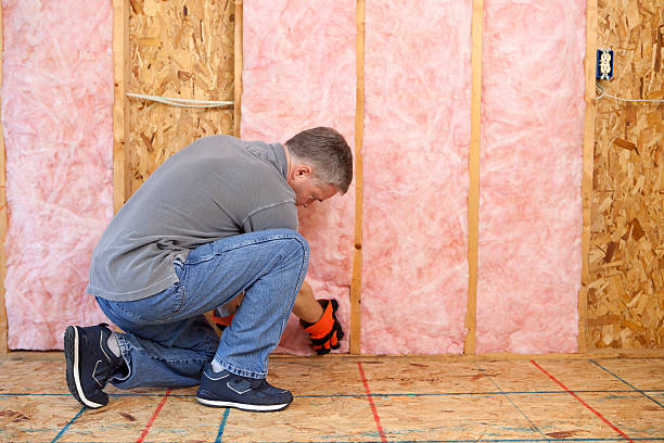 Best Spray Foam Insulation  in Kirkl, IN