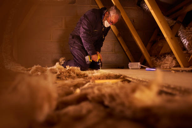 Best Professional Insulation Contractor  in Kirkl, IN